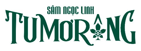Logo CÔNG TY CỔ PHẦN SÂM NGỌC LINH TU MƠ RÔNG KON TUM