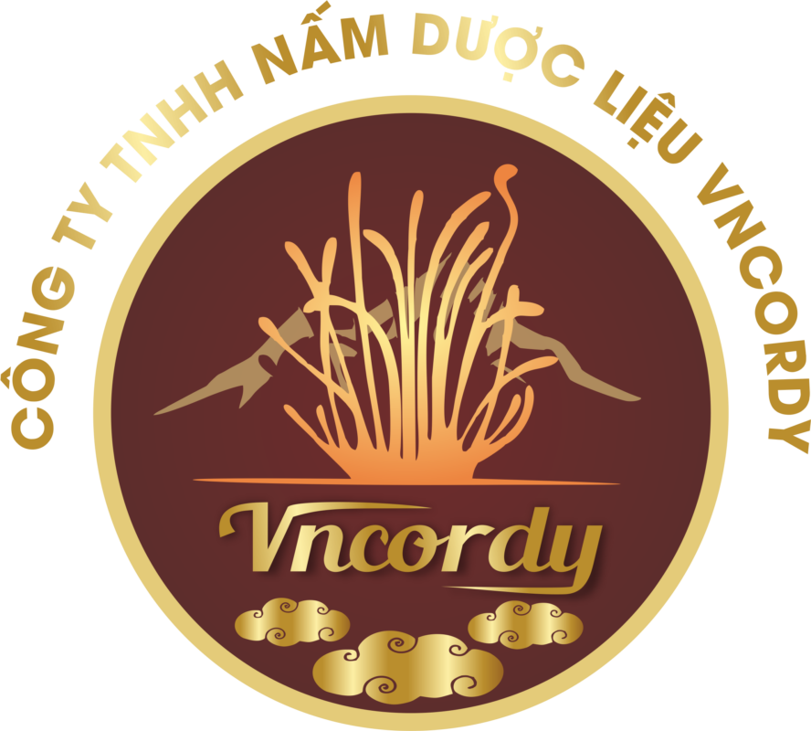 Logo Công Ty TNHH Nấm Dược Liệu VNCORDY