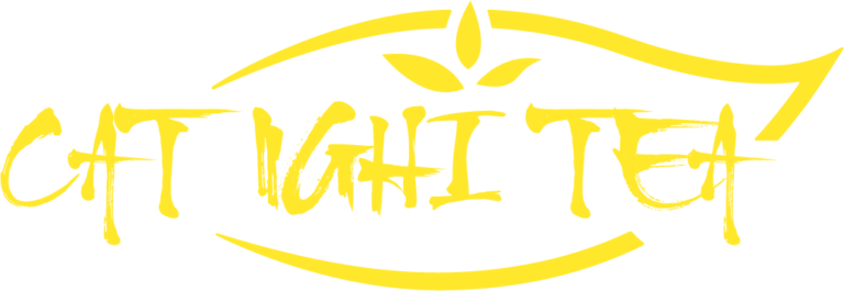 Logo CÔNG TY TNHH TM-SX XNK CÁT NGHI