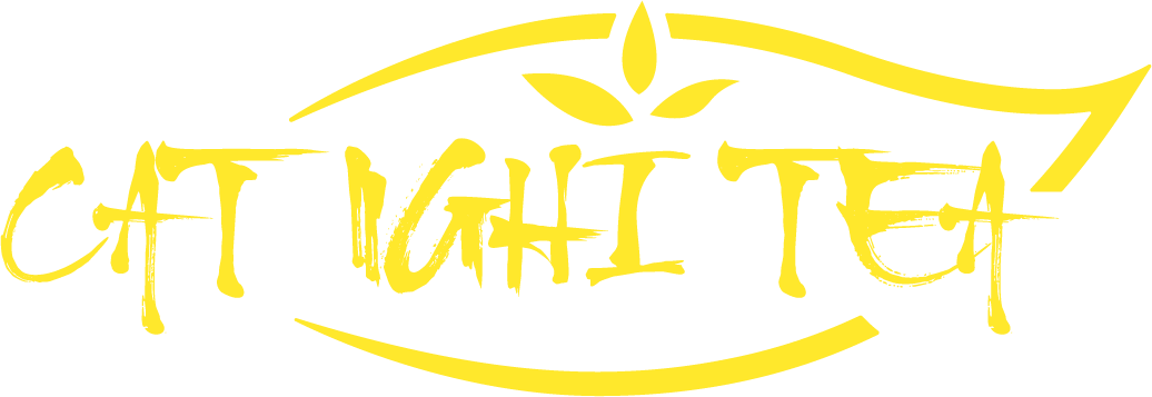 Logo CÔNG TY TNHH TM-SX XNK CÁT NGHI