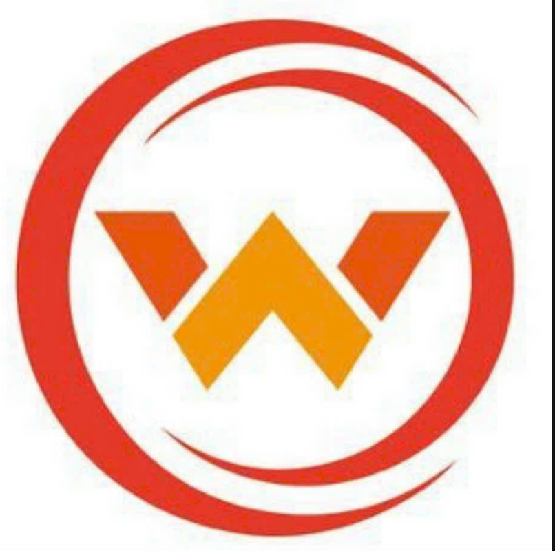 Logo CÔNG TY TNHH WANSTAR VIỆT NAM