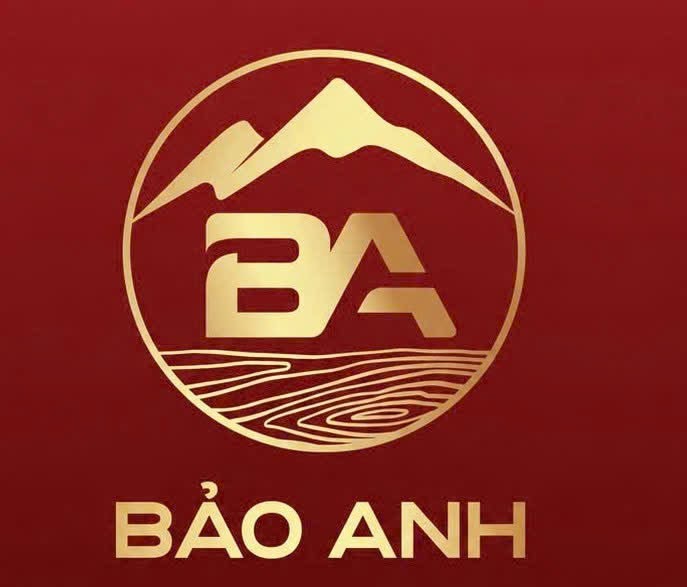 Logo Hộ kinh doanh Bảo Anh